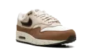 Air Max 1 Wmns "Velvet Brown" FZ3621 220