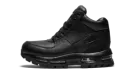 Air Max Goadome (GS) 311567 001