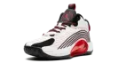 Jordan Jumpman "White University Red (2021)" CQ4021 100