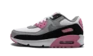 Air Max 90 LTR (GS) "Rose Pink"