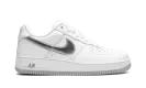 Air Force 1 Low "Silver Swoosh" DZ6755 100