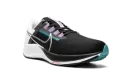 Air Zoom Pegasus 38 "Black" CW7356 003