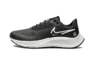 AIR ZOOM PEGASUS 38 SHIELD WMNS "Black Platinum Tint"