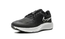 AIR ZOOM PEGASUS 38 SHIELD WMNS "Black Platinum Tint"