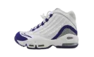 Air Griffey Max 2 GS "Deep Royal Blue" 443957 401