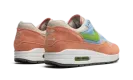 Air Max 1 "Light Madder Root" DV3196 800