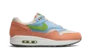 Air Max 1 "Light Madder Root" DV3196 800