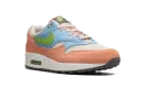Air Max 1 "Light Madder Root" DV3196 800