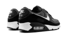 Air Max 90 "Iron Grey" CN8490 002