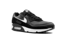 Air Max 90 "Iron Grey" CN8490 002