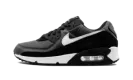 Air Max 90 "Iron Grey" CN8490 002
