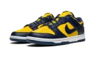 Dunk Low "Michigan" DD1391 700