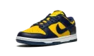 Dunk Low "Michigan" DD1391 700