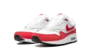 Air Max 1 GS "Sport Red" DZ3307 003