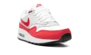 Air Max 1 GS "Sport Red" DZ3307 003