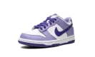 Dunk Low GS "Blueberry" DZ4456 100