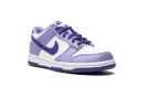Dunk Low GS "Blueberry" DZ4456 100