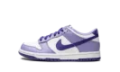 Dunk Low GS "Blueberry" DZ4456 100