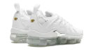 Air VaporMax Plus WMNS "White Chrome" FQ8895 100