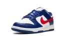 DUNK LO MNS WMNS "USA" DD1503 119