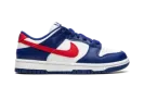 DUNK LO MNS WMNS "USA" DD1503 119