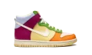 Dunk High Next Nature GS "Multicolor" DZ5638 500