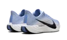 Pegasus Plus WMNS "Aluminum/Black-Royal Pulse" FQ7261 402