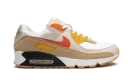 Air Max 90 "Pressure" FB4315 100