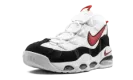 Air Max Uptempo '95 "Bulls" CK0892 101
