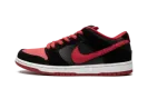 Dunk Low Pro SB "Jpack" 304292 039