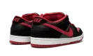 Dunk Low Pro SB "Jpack" 304292 039