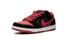 Dunk Low Pro SB "Jpack" 304292 039