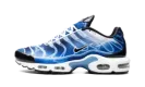 Air Max Plus "Light Streaks" DZ3531 400