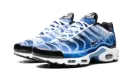 Air Max Plus "Light Streaks" DZ3531 400