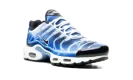 Air Max Plus "Light Streaks" DZ3531 400