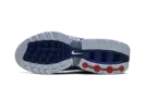Air Max Dn "Hyper Blue" DV3337 400