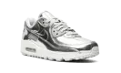 AIR MAX 90 WMNS "Metallic Pack - Silver" CQ6639 001