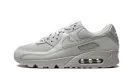 Air Max 90 "Wolf Grey" CN8490 001