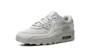 Air Max 90 "Wolf Grey" CN8490 001