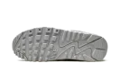 Air Max 90 "Wolf Grey" CN8490 001
