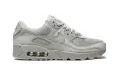 Air Max 90 "Wolf Grey" CN8490 001