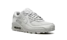 Air Max 90 "Wolf Grey" CN8490 001
