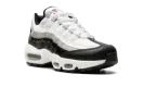 AIR MAX 95 WMNS "Light Iron Ore / Black Patent" DR2550 100