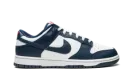 Dunk Low Retro "USA" DD1391 400