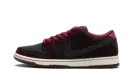 SB Dunk Low "Riot Skateshop" FZ1289 200
