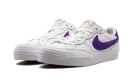 ZOOM POGO PLUS SB WMNS "White Court Purple" DZ4916 100