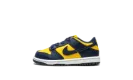 Dunk Low TD "Michigan"
