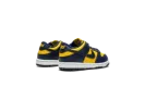 Dunk Low TD "Michigan"