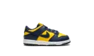 Dunk Low TD "Michigan"
