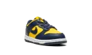 Dunk Low TD "Michigan"